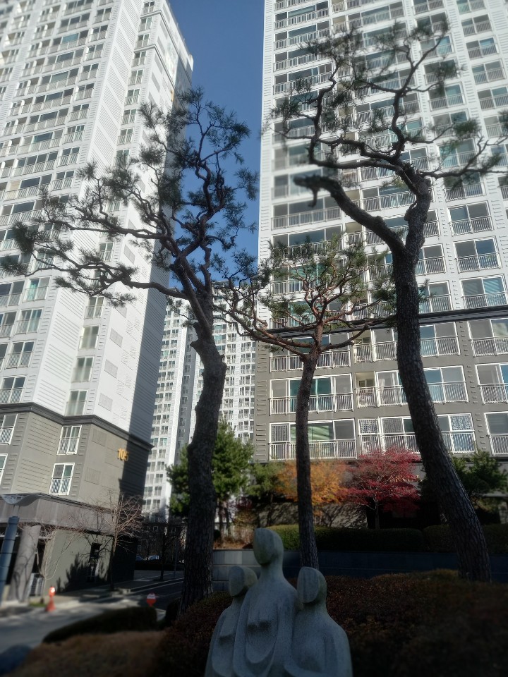 2049928719_AO3qnaBY_7e931729b0eb0a61eb572254c5d12d31ad332afa.jpg 이미지크게보기