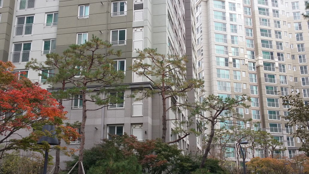2049928719_QzlW2F0K_f93159bab782fa3dec50ed2887e051dd07cf8f6c.jpg 이미지크게보기