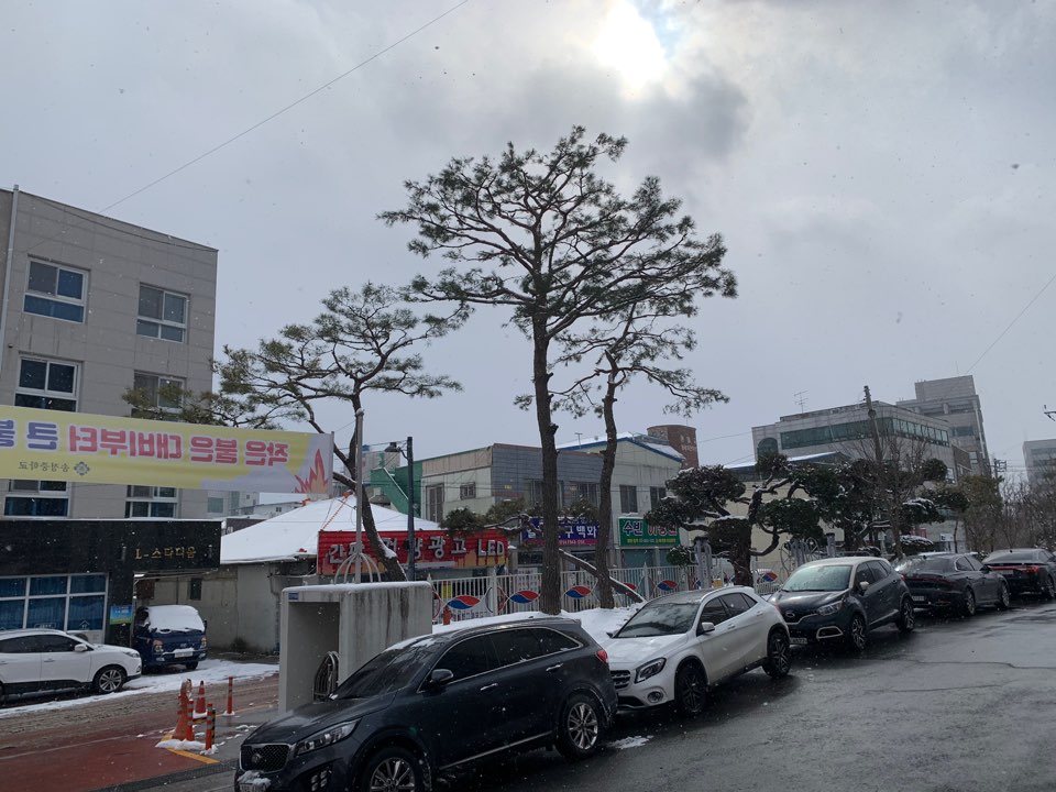 2049928719_VdCxYhFD_b2d120796d486dee9bd0ab20ed16718136c2211d.jpg 이미지크게보기