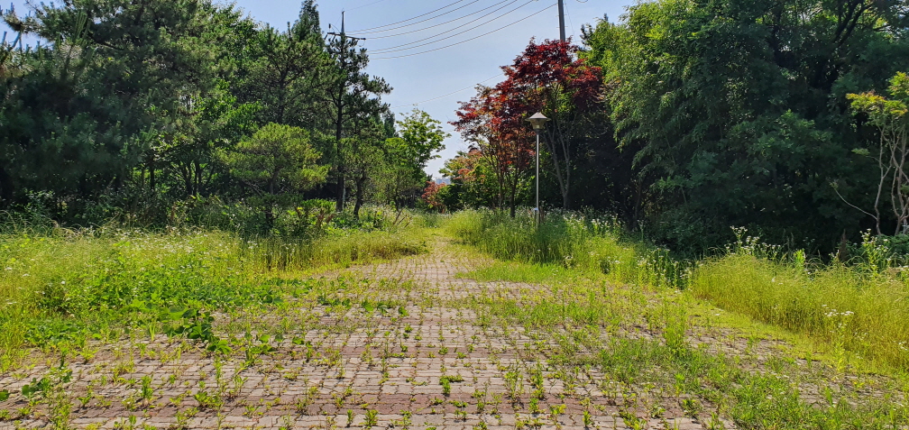2049928719_WlrPtXD2_4d040846484556df6b7e572841faaa487002b902.jpg 이미지크게보기
