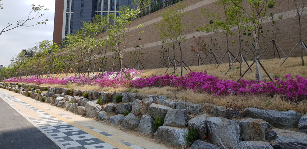 2049928719_IzVX1oci_b424f97a40cdb50c39c89c1c3b57dedbeaf238a2.jpg 이미지크게보기