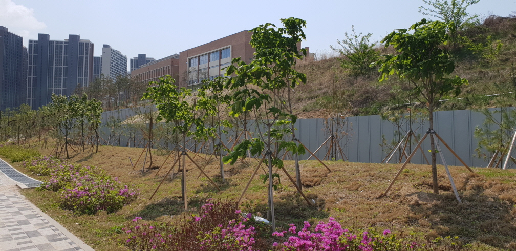 2049928719_zcgG2DMX_0812e8b6a4ba3aa1280c11740f3cab054d9fc81c.jpg 이미지크게보기